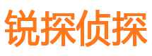 内丘市侦探调查公司